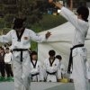kyunghee_demo 73